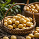 Enshi small potatoes, sun-dried, freshly dug, yellow-skinned mini potatoes, glutinous alpine potatoes, Marco potatoes, 2Jin Jin equals 0.5kg - large fruit - duck egg size (with box)