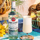 百加得（Bacardi）白朗姆酒 金朗姆酒 洋酒 莫吉托 调酒基酒 原瓶进口 调酒组合 百加得白朗姆酒 1000mL 6瓶