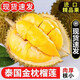Shuxianyuan Thai Золотая подушка Durian Импортировал Durian Whole Box Gift Fresh Durian Fruit Gift Box [получена через день во многих местах] [А-класс.