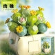 Fermi compatible LEGO children's assembly building blocks toys potted ornaments for boys and girls birthday gifts succulent-meat cone S2281