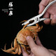 Zhang Xiaoquan crab eating tool clips and scissors hairy crab claws for peeling crabs 304 household crab claws gift box with two crabs two-piece set J1.B1.003-3