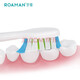 Lohmann electric toothbrush head SC02 white conventional brush head universal type 4 pack