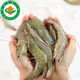 Taihuhai organic prawns, antibiotic-free salt field shrimps, fresh and frozen prawns, pregnant and baby tongbaobao, Spring Festival products, organic shrimps 1200g (net weight)