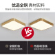 铜颜别墅大门全铜吸顶灯防虫自建房门厅灯入户户外大门口照明灯阳台灯 X3893-400*600/长方形