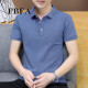 FBFA Hong Kong Trendy Brand Summer Summer Men's Short-Soleved Color Polo Shirt Camiseta versátil de negocios para hombres con cuello 686 Green Green 2xl (140-155jin [Jin equivale a 0.5 kg])