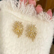 Tapaying Fashionable Zircon Fireworks Earrings Light Luxury High-end Autumn and Winter Earrings Korean Style Earrings Fashion Earrings New Style Fireworks Earrings Pair