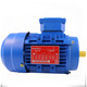 JOMOKING motor personalizado motor asíncrono trifásico YE290L-4 1.5KW YE290L4