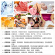 High-quality 20 packs of 600ML water-filled ice bags for outdoor food and seafood refrigeration ice bags