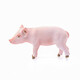 
Comele German Syl Schleich s simulated animal model farm series poultry livestock small animals hens and male farmers standing piglets 13783