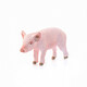 
Comele German Syl Schleich s simulated animal model farm series poultry livestock small animals hens and male farmers standing piglets 13783