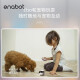 enabotebo robot home children elderly pets remote companion two-way intercom intelligent companion cat monitoring EBOSE rich set [64G]