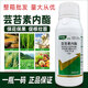 Plant growth regulator 28 epibrassinolide plant growth regulator for wheat, soybeans, vegetables and fruit trees to promote differentiation, rooting and seedling strengthening agent 28 epibrassinolide 500ml*1 bottle