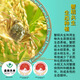 Golden Dragon Fish Northeast Rice Panjin Rice 20 Jin [Jin equals 0.5 kg] Crab rice symbiosis crab field rice