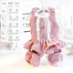 Vêtements de chiots de canard hip-hop, vêtements chauds d'automne et hivernaux, salopettes en dentelle en velours côtelé, vêtements à quatre pattes de chien, manteau en coton, vêtements en peluche, sangle en dentelle pourpre M-Songée 5-7 Jin [Jin est égal à 0,5 kg]