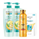 Liangsong Shampoo and Care Set Refreshing Anti-Dandruff and Anti-itch 750g*2+Conditioner 500ml Free Shampoo 200g Refill