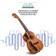 WEIKASI Ukulele Beginners Girls and Male Students Van board 23-inch Uklili Little Guitar Children's Musical Instruments 23-inch - Sky Blue + Full Gift Pack 23-inch