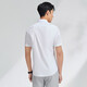 Chemise du PDG du printemps et du coton d'été pour hommes, un repassage gratuit en coton et pas facile à plisser de la chemise à manches à manches courtes de chemise professionnelle classique décontractée blanc 39