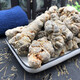 
Moyuan Panax notoginseng Chinese herbal medicine Yunnan Wenshan genuine Panax notoginseng root 20-tow Tianqi fresh raw Panax notoginseng non-wild wine powder [20 Panax notoginseng] 100g