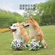 Front dog toy pet outdoor football border collie medium and large dog corgi interactive bite-resistant boredom relief training tour ball
