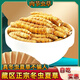 [Authentische Cordyceps] Big gebrochenes Gras authentisch Cordyceps gebrochenes Gras Cordyceps gebrochenes Grasfrüchte Cordyceps gebrochenes Gras selbst zu essen tonisch Cordyceps gebrochenes Gras Tibeter Big gebrochenes Gras 10g