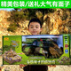 
Extra large remote control tank can launch parent-child battle crawler model children's charging boy off-road vehicle toys Military green [small 27CM] standard with a set of batteries