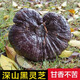 元族长白山正宗野生黑灵芝整枝正品一斤装纯天然孢子粉深山赤林芝泡酒 头道野生灵芝孢子粉一斤