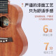 Mosen Ukulele Girl Anfänger Einstiegsstufe Kleiner Gitarre 23-Zoll-Schaufel-Schicht UKLILI MUC800 [Vektor] 23-Zoll-Oguman M6N (Accessoires Pack +