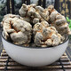 
Moyuan Panax notoginseng Chinese herbal medicine Yunnan Wenshan genuine Panax notoginseng root 20-tow Tianqi fresh raw Panax notoginseng non-wild wine powder [20 Panax notoginseng] 100g