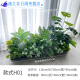 仿真绿植套装仿真花隔断植物装饰摆件花槽龟背叶花箱假花造景 e3895x20m五彩斑斓