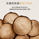 圣维斯sw003纯手工实木小提琴初学者儿童10级成人演奏入门专业级比赛 1/2 身高130-140