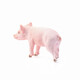
Comele German Syl Schleich s simulated animal model farm series poultry livestock small animals hens and male farmers standing piglets 13783