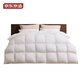 Duvet Doie Duvet Duvet Duvet Made in Tokyo 95% Domestic Goose Down Quilt Winter 1000g 2*2.3 meters