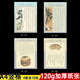 a4竖条格古典中国风硬笔书法纸比赛专用作品纸120g竖格钢笔练字纸 A4-6172包共40张