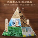 Store de vente directe de pharmacie officielle, médecine chinoise, Panax Notoginseng Powder 255G, Yunnan Wenshanyuan, Tianqi Powder 1 Can