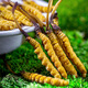 [Tíbet Cabello liso] Auténtico primero Cordyceps frescos 2025 Cordyceps frescos de alta altitud seleccionados SF Cold Chain 0.6-0.7G/Root 100 Roots