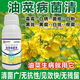 Special medicine for rapeseed sclerotinia downy mildew damping-off root rot, rapeseed pathogen clear rapeseed disease special medicine 100ml 5 bottles