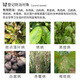 Donghe Biotech 40% difenoconazole leaf spot disease powdery rust fruit tree vegetable flower fungicide pesticide anthracnose 50g