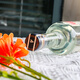 Alipus Mexikaner Mezcal Tequila Foreign Spirituosen gemischte Basis Alkohol San Julian Rio White Tequila 750 ml 1 Flasche