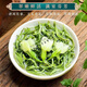 Fragrant food Ya'an Mengding mountain tea buds fried flowers Jasmine Piaoxue 2024 new tea Jasmine tea strong aroma type Sichuan Ya'an Mengding fine buds Piaoxue 520g mellow and refreshing