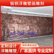 Customized forged copper relief fiberglass imitation copper cast copper campus red background wall sculpture decorative wall mural pendant style two