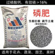 Yuntianhua Phosphate Fertilizer Granules Superphosphate General Flowering Fertilizer Household Fruit Tree Vegetable Green Plant Compound Fertilizer 100 Jin Jin equals 0.5 kg Phosphate fertilizer (high concentration) 3 Jin Jin equals 0.5 kg