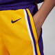 Nike (NIKE) official boys Los Angeles Lakers ICON NBA big kids quick-drying shorts FZ1187 728 Amarillo yellow/Los Angeles Lakers 150 M