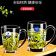 Luminarc thickened tempered glass cup household tea cup with handle large capacity tea cup green tea cup drinking cup with handle single Benny 450ml