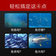乐琦无线声纳探鱼器超声波探测大彩屏找鱼器渔具用品