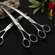 Black Bird Master Pet Scissors Professional Pet Grooming Scissors Set Straight Curved Scissors Fish Bone Scissors Dental Scissors Beautician Shop Tools BS 6.75 Inch Comprehensive Small Bend