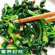 【可越冬】大叶菠菜种子散装菠菜籽四季播耐寒秋冬季蔬菜种子 【抗热+】大叶菠菜种子(高發芽率 原厂精装种子2袋2694粒