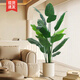 Weiou simulated green plants, high-end light luxury living room, fake plants, indoor potted plants, large decorative ornaments, bird of paradise simulated flowers, 1.4 meters bird of paradise<+white round bottom flowerpot&g