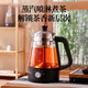 Royalstar tea kettle health kettle spray type tea kettle kettle electric kettle steaming tea kettle tea steaming kettle tea kettle around the stove to make tea 1L three-speed knob model + filter