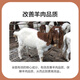 East China Zhengda 4% mutton sheep premix mutton sheep feed fattening sheep feed fattening and enlarged skeleton Hu sheep feed