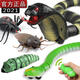 Yuan Clan Tik Tok Spider Simulation Cobra Remote Control Caterpillar Reptiles Insects Electric Cockroaches Toys 9922 Remote Control Seven Star Ladybug